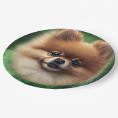 Spitz Dog in St. Patrick's Day Dress Pappteller (Schrägansicht)