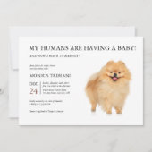 Spitz Dog Puppy Baby Dusche Minimalistisch Einladung (Vorderseite)