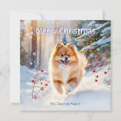 Spitz Dog Snow Picture Frohe Weihnachten (Vorderseite)