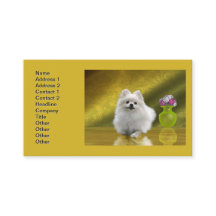 Spitz Dog