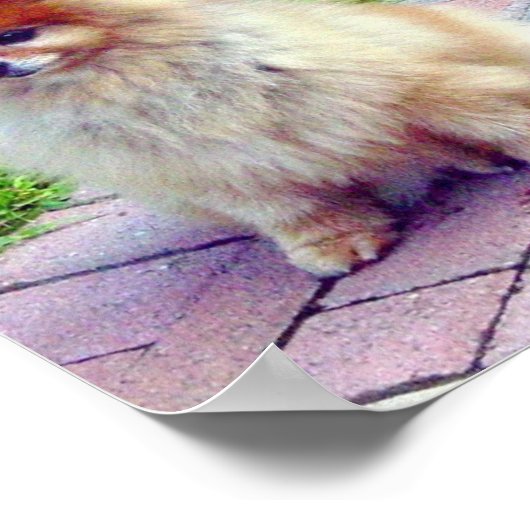 Spitz drucken oder Poster (Ecke)