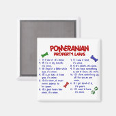 SPITZ-Eigenschaftengesetze 2 Magnet (Vorderseite/Rückseite)