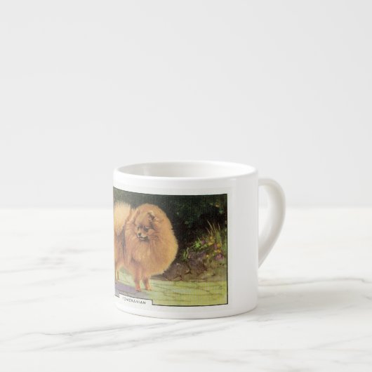 Spitz Espressotasse (Vorderseite Rechts)