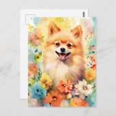 Spitz farbige Aquarellbilder Postkarte (Vorne/Hinten)