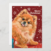 Spitz Feiertagskarte (Vorne/Hinten)