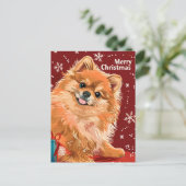 Spitz Feiertagspostkarte (Stehend Vorderseite)