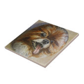 Spitz Fliese (Seite)