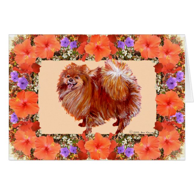 Spitz Floral (Vorderseite (Horizontal))