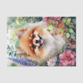 Spitz Florenz Seidenpapier