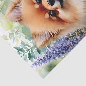 Spitz Florenz Seidenpapier (Ausschnitt)