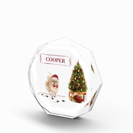 Spitz Funny Christmas Dog mit Baum Fotoblock (Rechts)