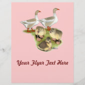 Spitz Gänse Flyer (Vorne)