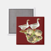 Spitz Gänse Magnet (Vorderseite/Rückseite)