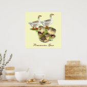 Spitz Gänse Poster (Küche)