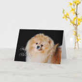 Spitz Geburtstagskarte Karte (Gelbe Blume)