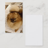 Spitz-Geschäfts-Karten Visitenkarte (Vorne/Hinten)