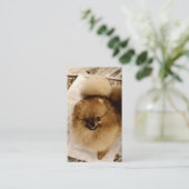 Spitz-Geschäfts-Karten Visitenkarte (Stehend Vorderseite)