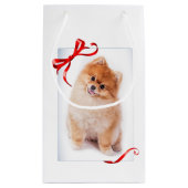 Spitz-Geschenk-Tasche Kleine Geschenktüte (Rückseite)