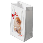 Spitz-Geschenk-Tasche Kleine Geschenktüte (Rückseite Schrägansicht)