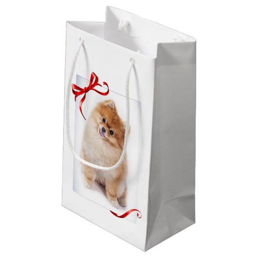 Spitz-Geschenk-Tasche Kleine Geschenktüte (Rückseite Schrägansicht)