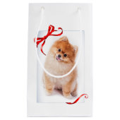 Spitz-Geschenk-Tasche Kleine Geschenktüte (Vorderseite)