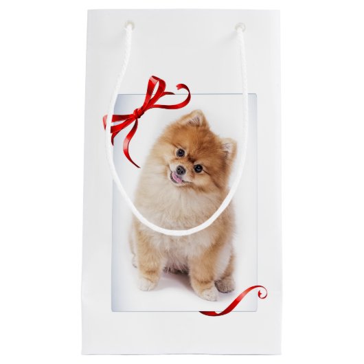 Spitz-Geschenk-Tasche Kleine Geschenktüte (Vorderseite)
