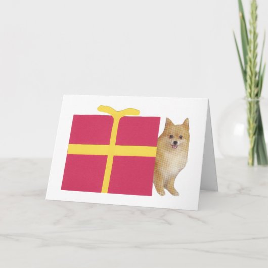 Spitz Geschenkboxen Feiertagskarte (Vorderseite)