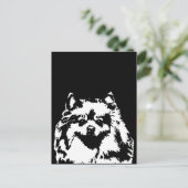 Spitz Geschenke - Postkarte (Stehend Vorderseite)