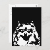 Spitz Geschenke - Postkarte (Vorne/Hinten)