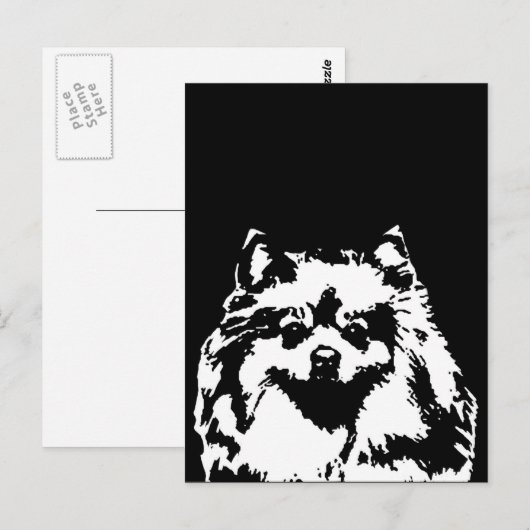 Spitz Geschenke - Postkarte (Vorne/Hinten)