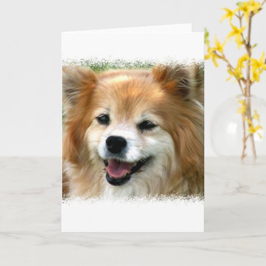 Spitz-Grußkarte Karte (Gelbe Blume)