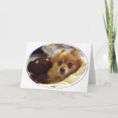 Spitz Happy Birthday Card Karte (Rückseite)