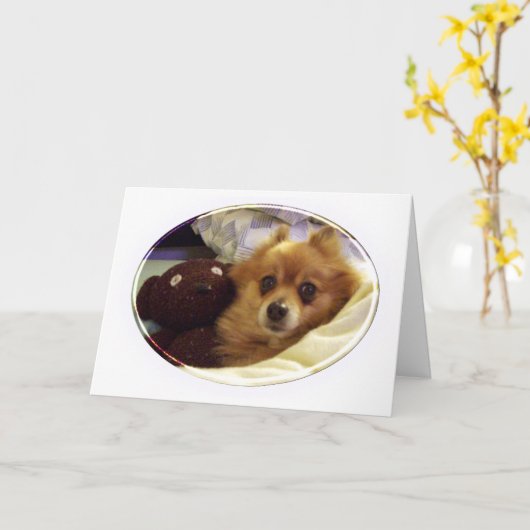 Spitz Happy Birthday Card Karte (Gelbe Blume)