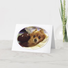 Spitz Happy Birthday Card Karte