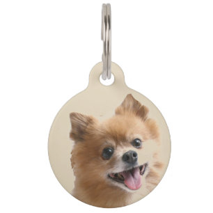 Spitz Haustiermarke