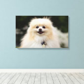 Spitz Headshot 1 Leinwanddruck (Insitu (Holzboden))