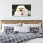 Spitz Headshot 1 Leinwanddruck (Insitu (Schlafzimmer))