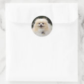 Spitz Headshot 1 Runder Aufkleber (Tasche)