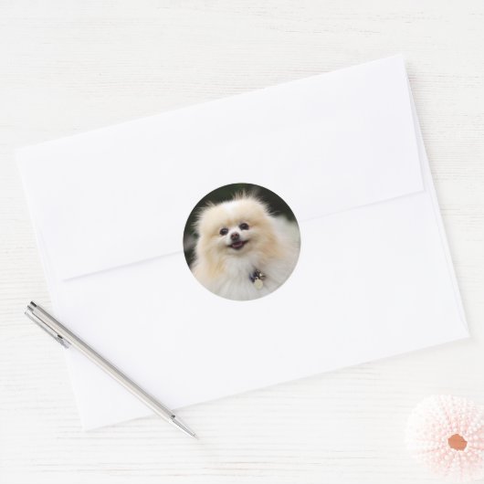 Spitz Headshot 1 Runder Aufkleber (Umschlag)