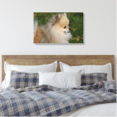 Spitz Headshot 2 Leinwanddruck (Insitu (Schlafzimmer))