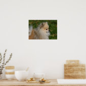 Spitz Headshot 2 Poster (Küche)