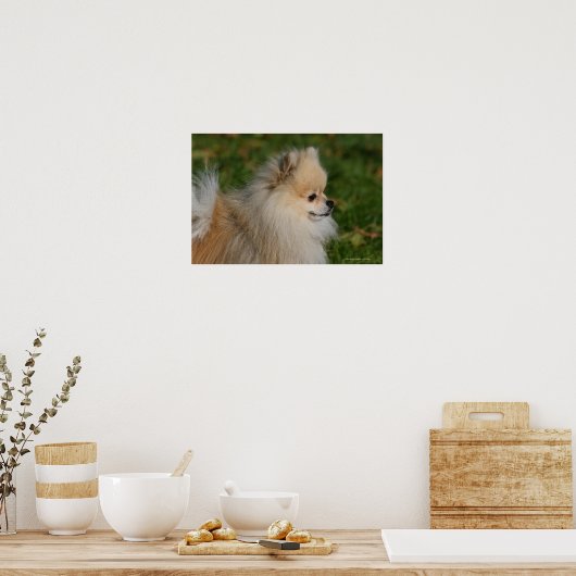 Spitz Headshot 2 Poster (Küche)