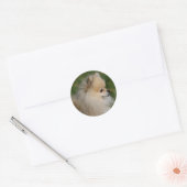 Spitz Headshot 2 Runder Aufkleber (Umschlag)