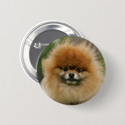 Spitz-Headshot Blick auf Kamera Button (Vorne & Hinten)