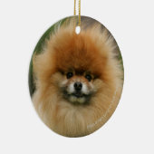 Spitz-Headshot Blick auf Kamera Keramik Ornament (Rechts)