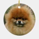 Spitz-Headshot Blick auf Kamera Keramik Ornament (Hinten)