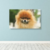 Spitz-Headshot - Kamera Leinwanddruck (Insitu (Holzboden))