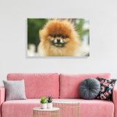 Spitz-Headshot - Kamera Leinwanddruck (Insitu (Wohnzimmer))