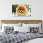 Spitz-Headshot - Kamera Leinwanddruck (Insitu (Schlafzimmer))