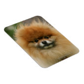 Spitz-Headshot - Kamera Magnet (Rechte Seite)